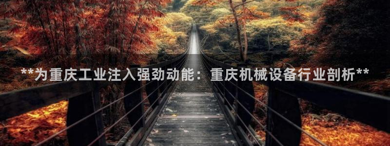 九游会平台入口