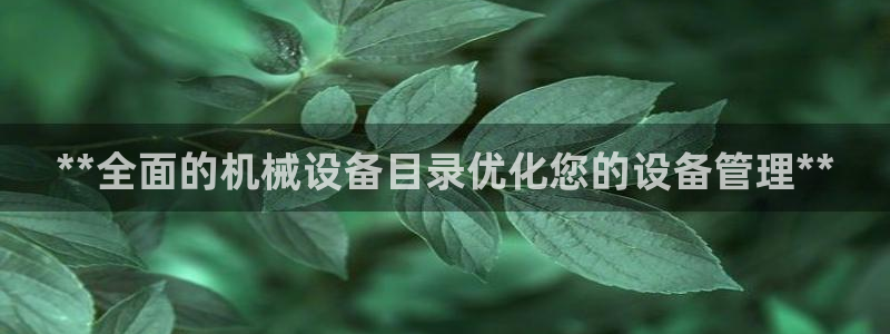 九游会J9登录入口