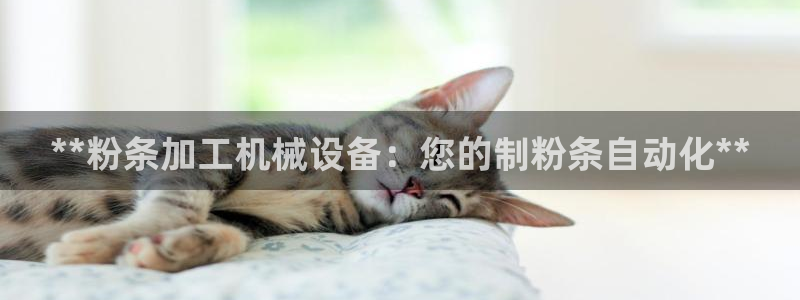 九游会j9登录官网