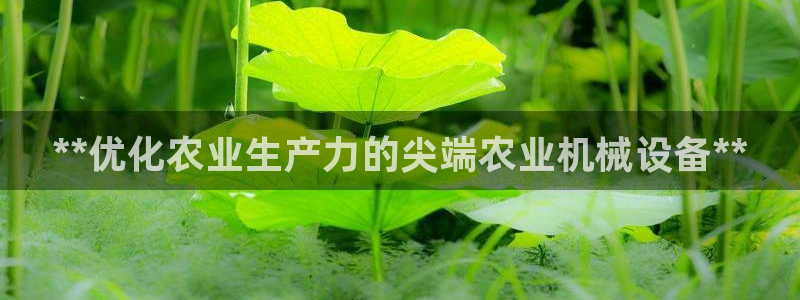 九游会平台老哥俱乐部
