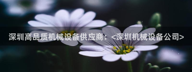 j9九游会登录