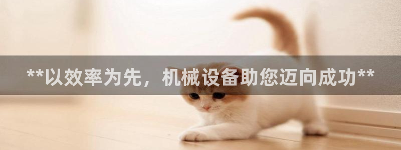 九游会ag官方网站在哪