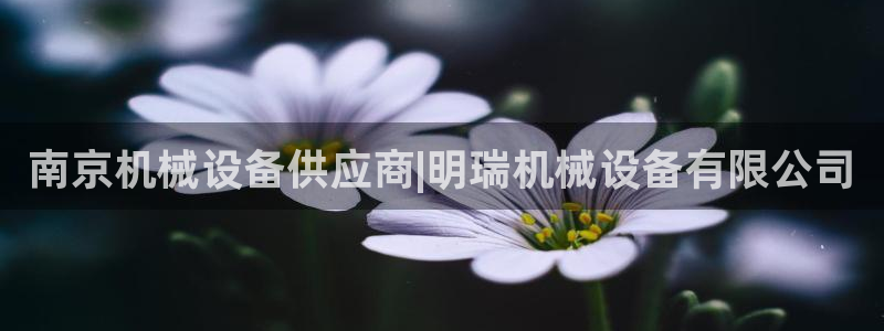 九游会网址多少