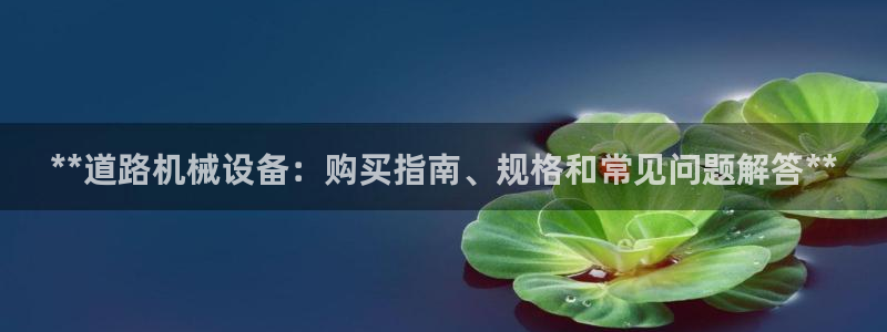 九游会主页