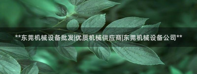 j9九游会官网入口