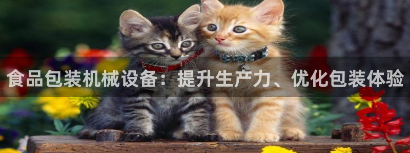 九游会平台稳定吗