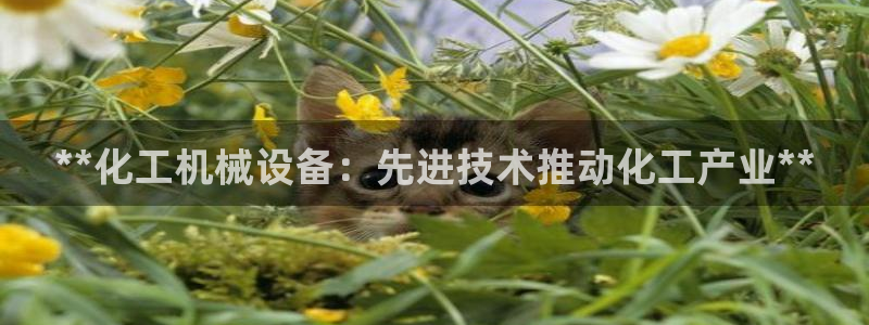 九游会官网登录入口网页首页