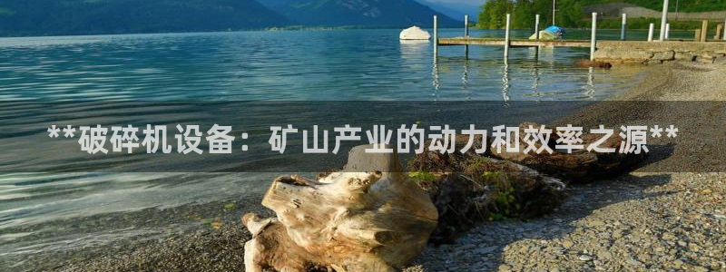 九游会登录网站