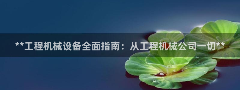 九游会官网真人