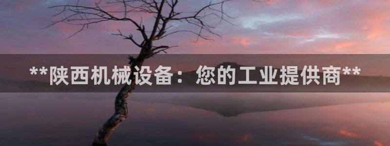 九游会官方地址