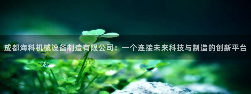九游会官网入口：成都