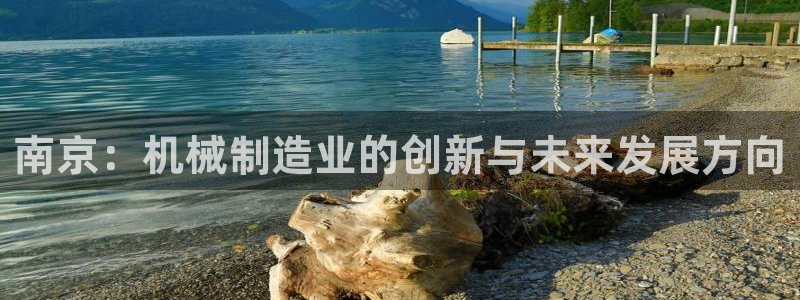九游会中国入口