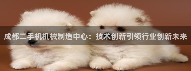 九游会网页：成都二手