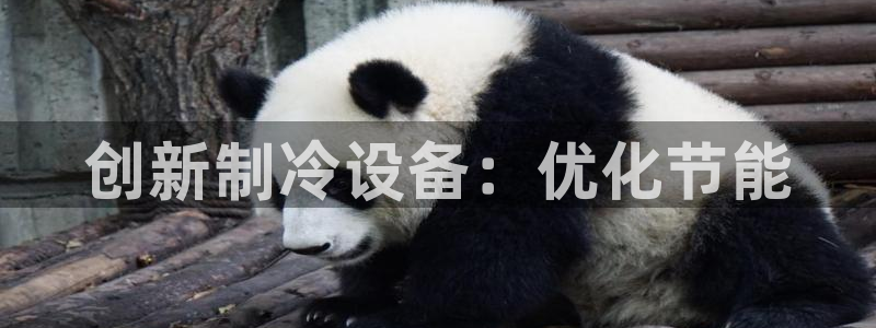 九游会登录网站吗