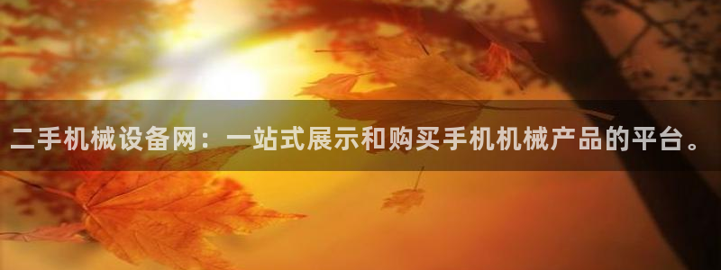 j9官网豪华游：二手