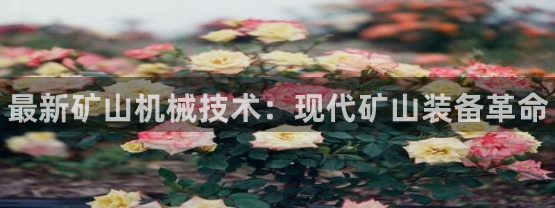 j9九游会登录网址