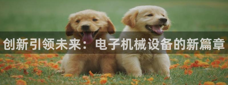 九游会ag官方平台