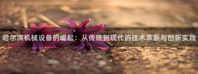 ag九游会老哥