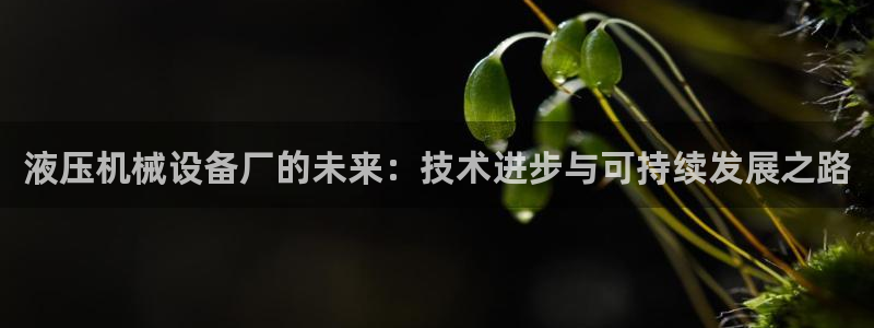 九游会官网页登录：液