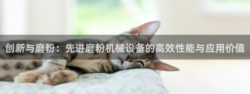 九游会app官方下载安卓