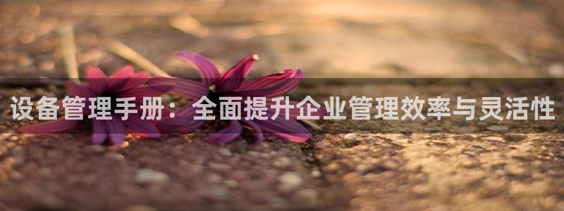 九游会AG注册送388