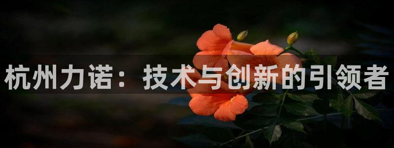 九游会j9官网登陆