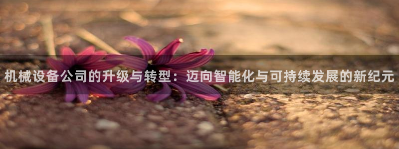 九游会视讯,九游会视讯厅