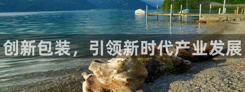 九游会游戏官网网页版