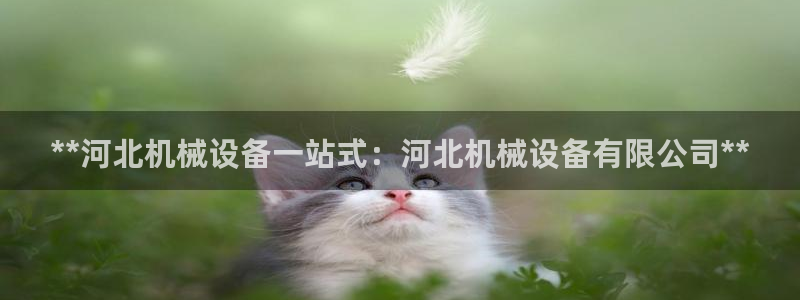 j9九游会老哥俱乐部交流区