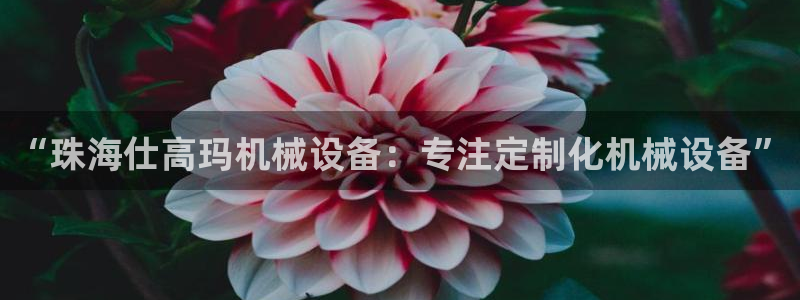 j9游会真人游戏第一品牌