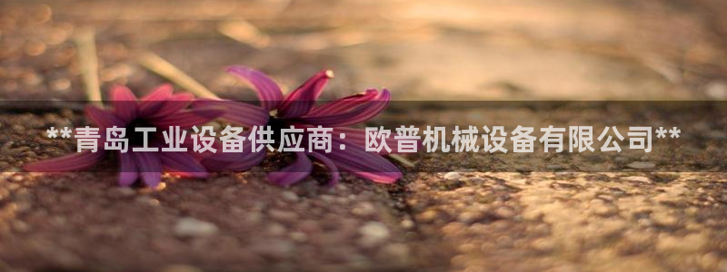 九游会网站网
