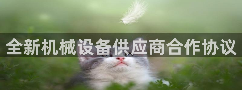 j9九游会vip：全