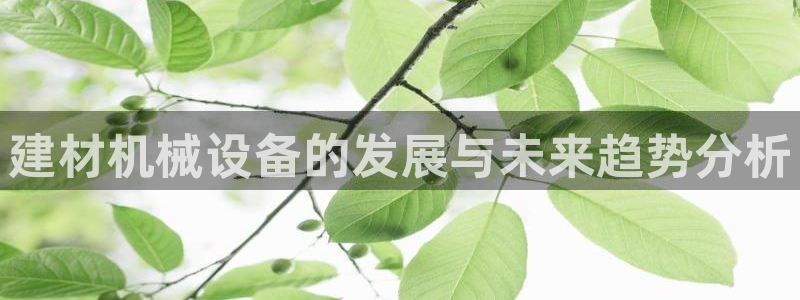 九游会app官方：建