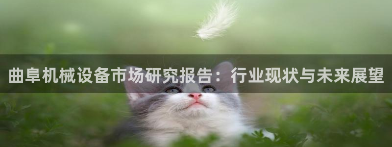 九游j9官网