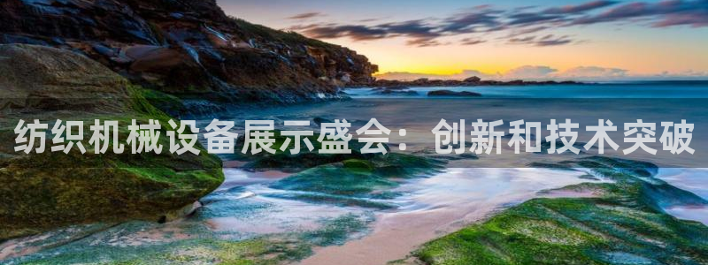 J9九游会手机登录