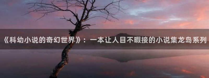 小说棉花糖