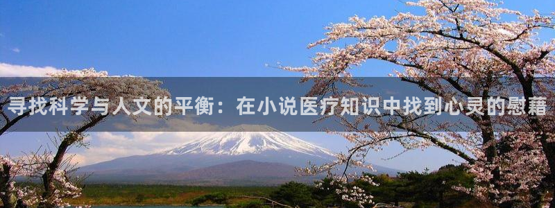 圣墟棉花糖小说网