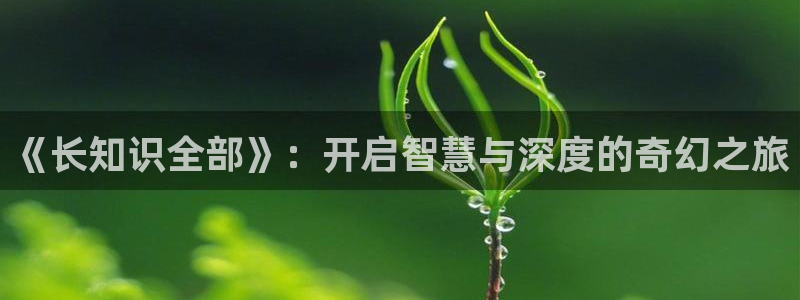 棉花糖小说网(新版本)