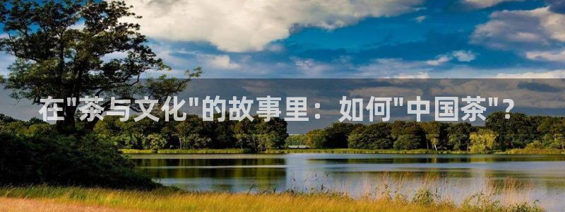 圣墟棉花糖小说网